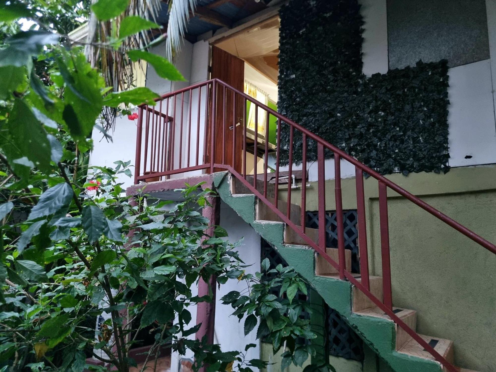 Wildlife Art Tortuguero Hotel Exterior photo